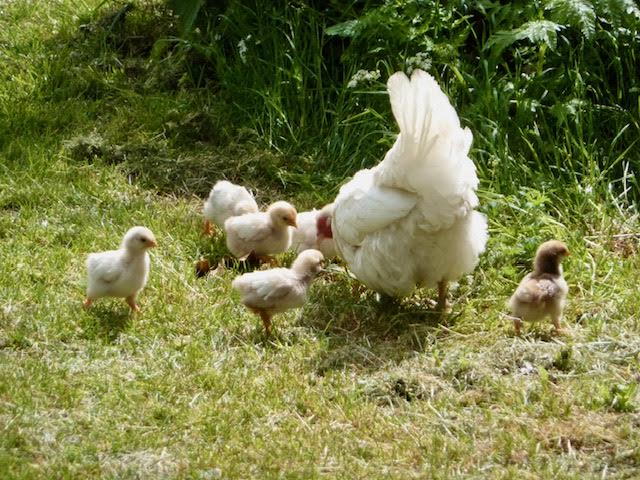 Getting our ducks in a row for the year ahead