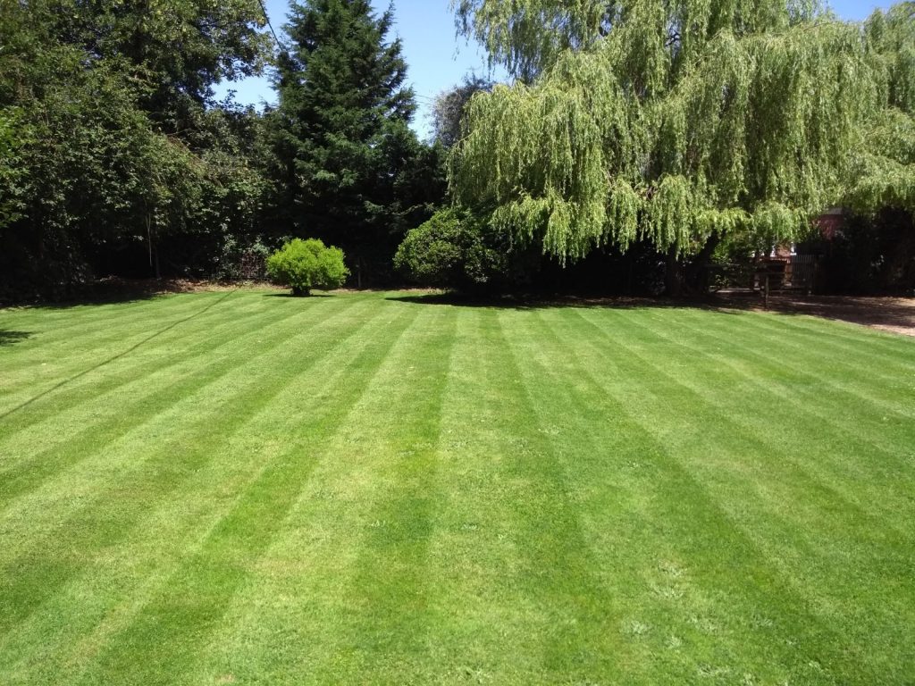 Tunbridge Wells Gardening business lawn mowing stripes