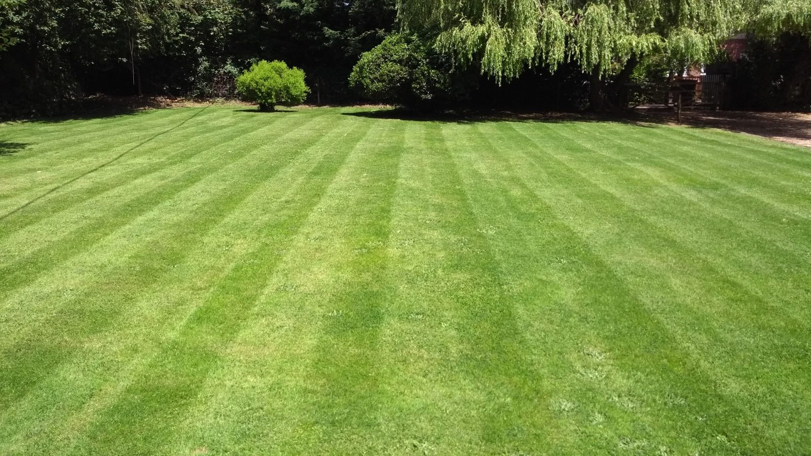 A neatly mowed lawn with stripes